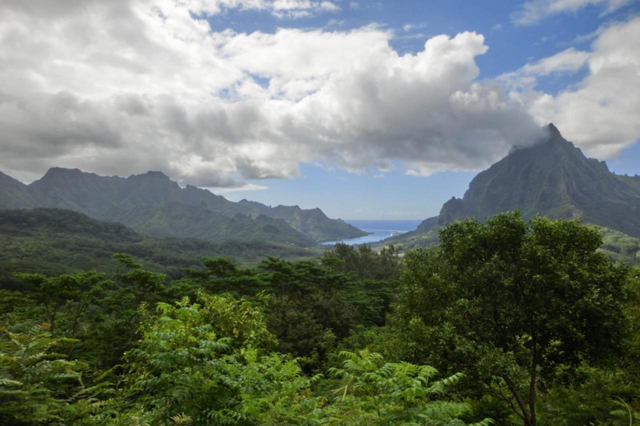 Apartament Auti Studio Direct Access To The Beach On Moorea With Ac -Wifi - Netflix Haapiti Zewnętrze zdjęcie