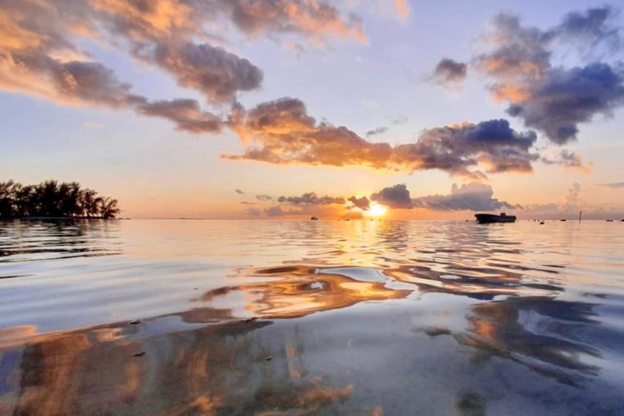 Apartament Auti Studio Direct Access To The Beach On Moorea With Ac -Wifi - Netflix Haapiti Zewnętrze zdjęcie